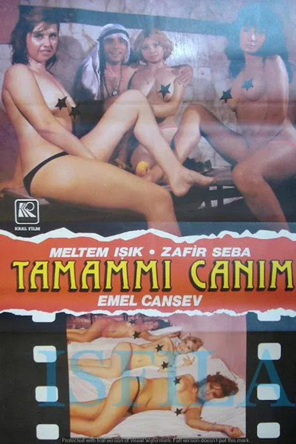 Tamam mı Canım? (1979)