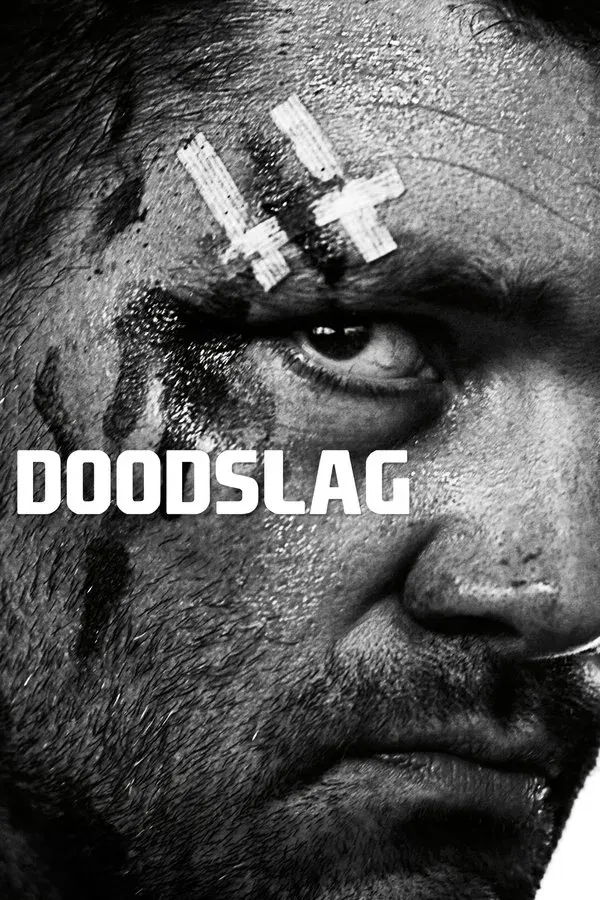 Doodslag - 2012