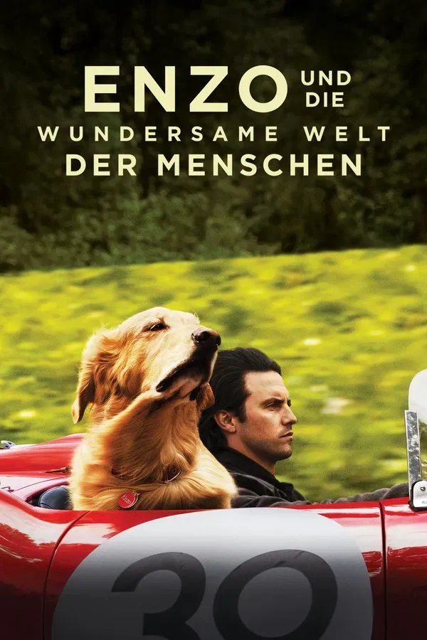 Enzo und die wundersame Welt der Menschen | 2019 |