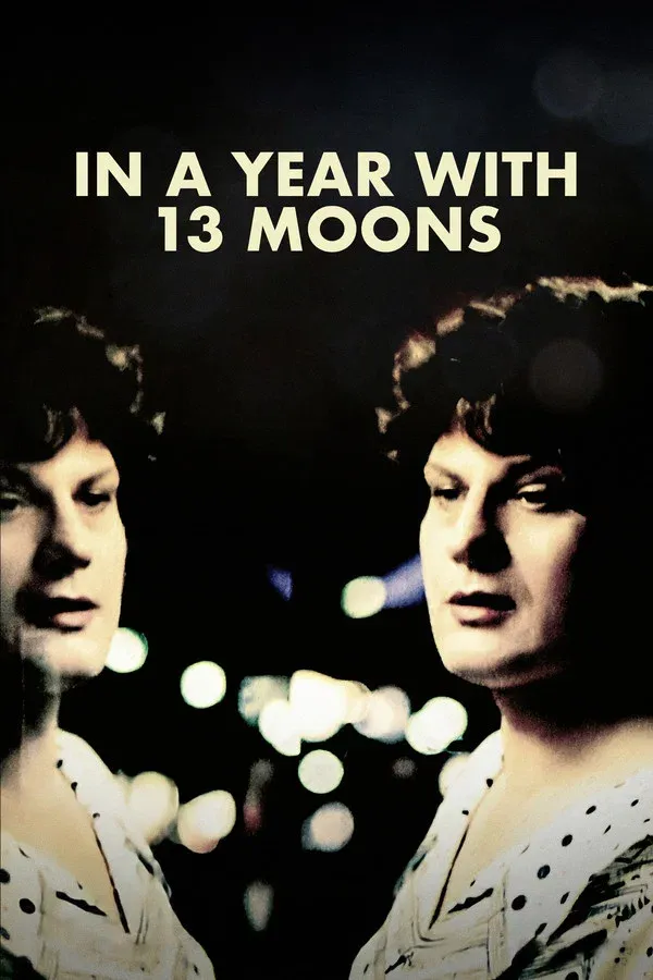 13 Ayla Bir Yılda (1978)