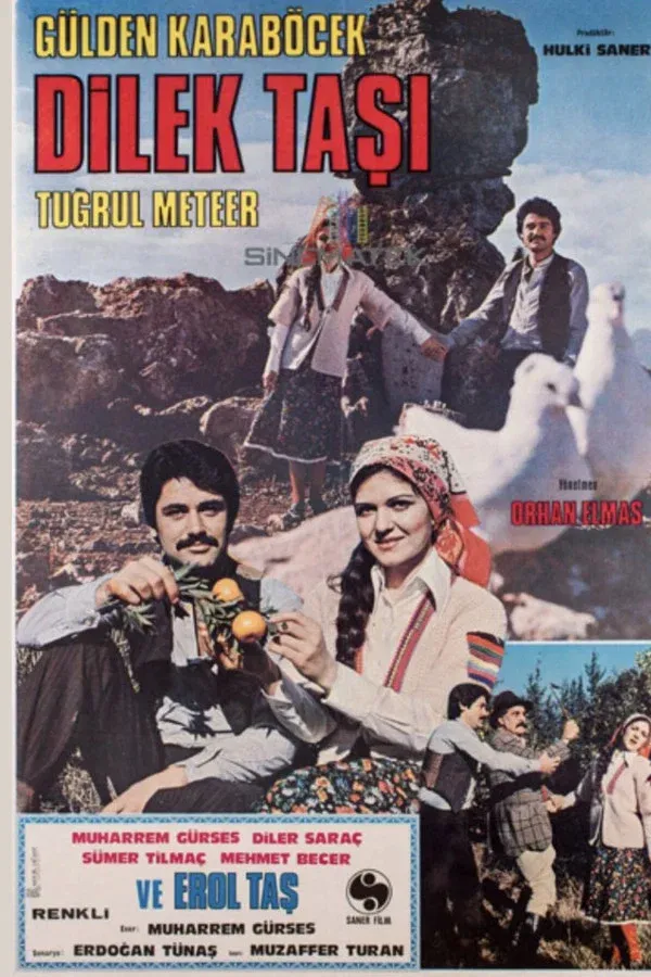 Dilek Taşı (1978)