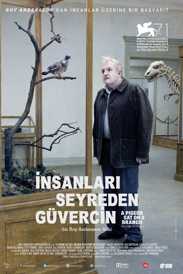 İnsanları Seyreden Güvercin (2014)