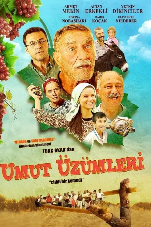 Umut Üzümleri (2013)