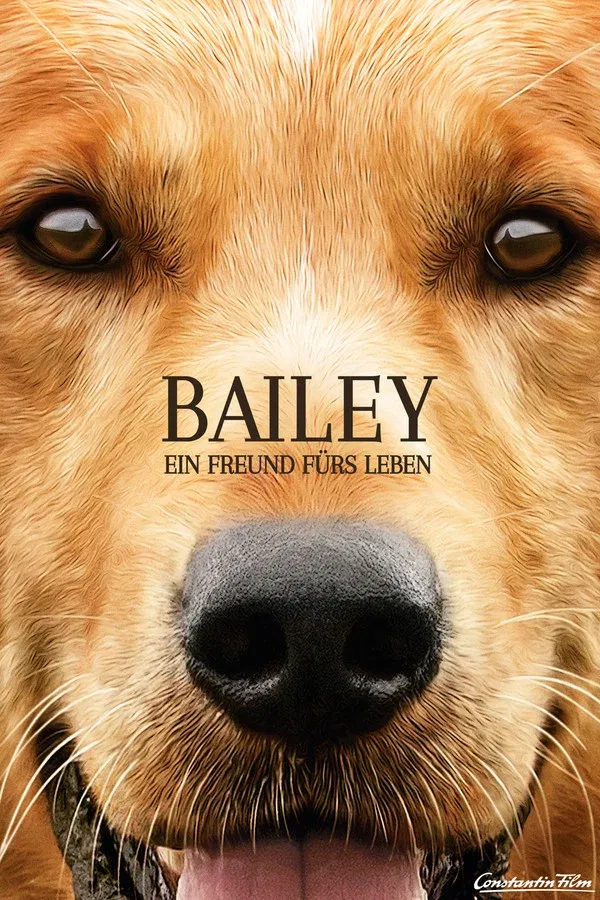 A Dogs Purpose