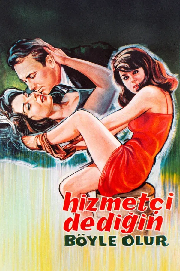Hizmetçi Dedigin Böyle Olur (1964)