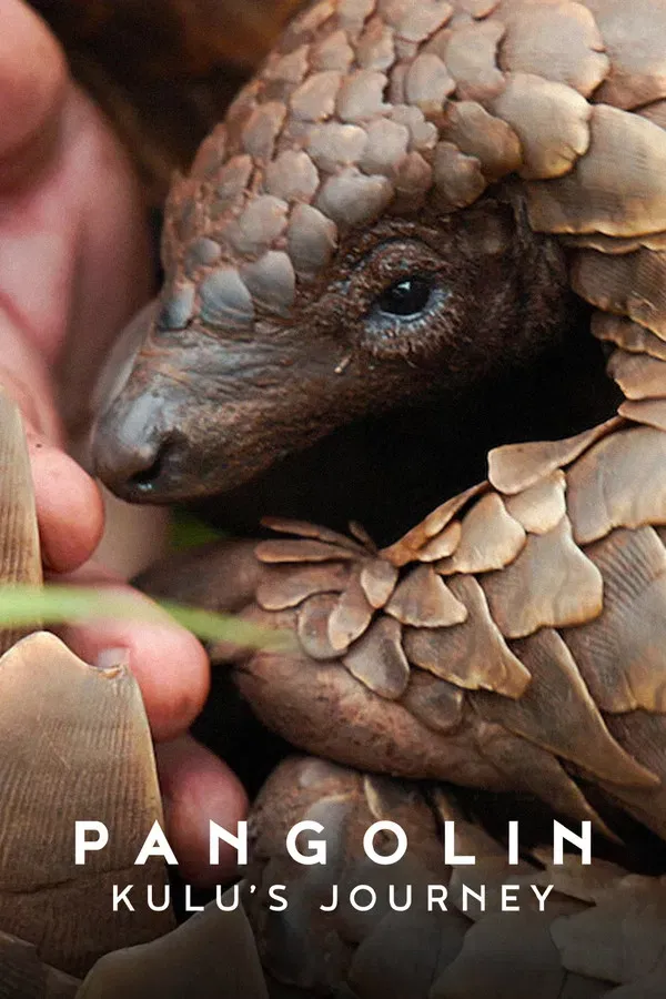 Pangolin: Kulus Weg (2025)