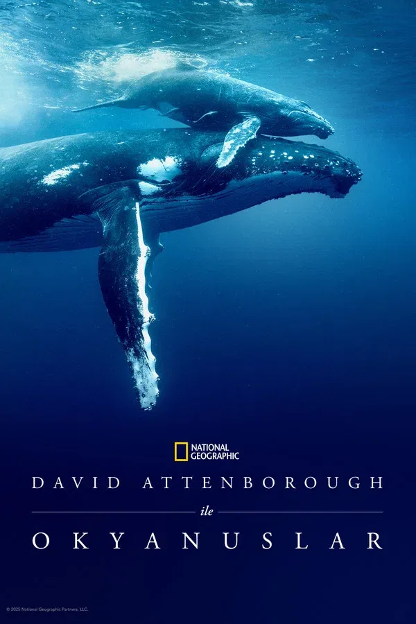 David Attenborough ile Okyanuslar (2025)