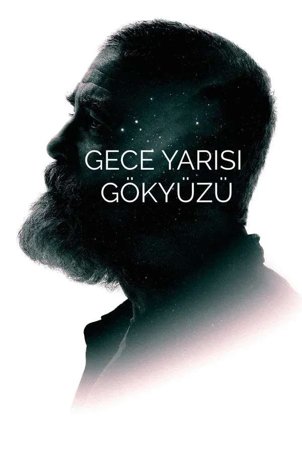 Gece Yarısı Gökyüzü (2020)