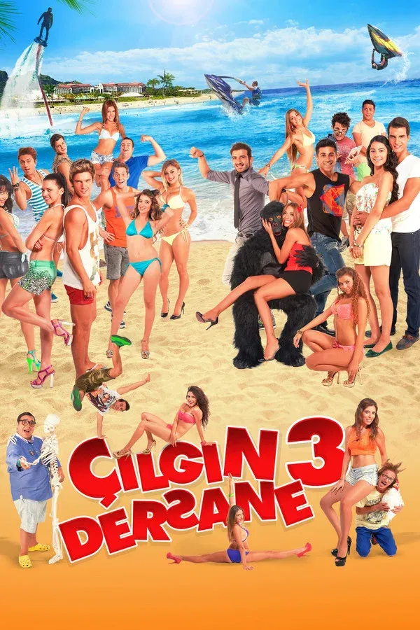 Cilgin Dersane3 - 2013