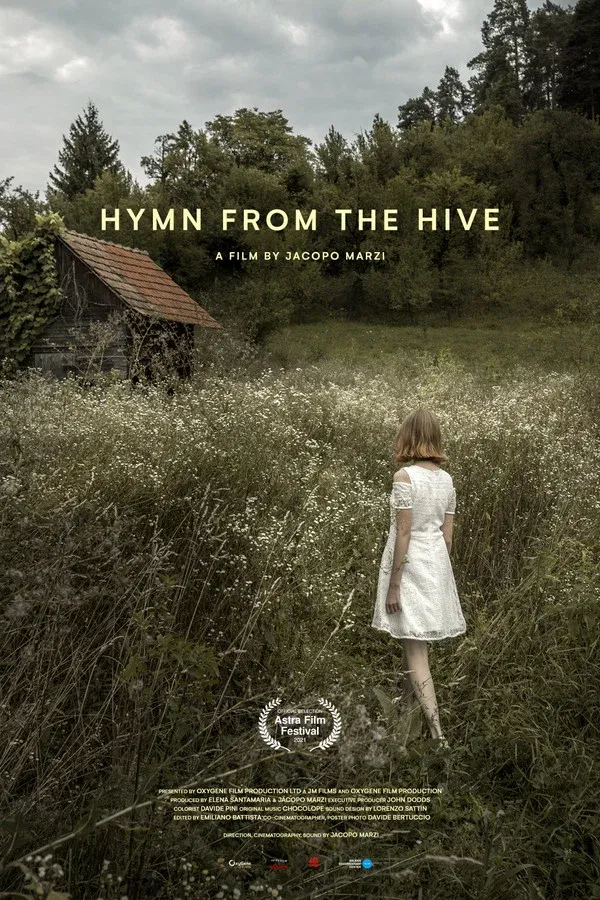 Hive | 2021 |
