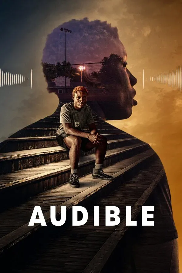 Audible: Engel Tanimayan Basari (2021)