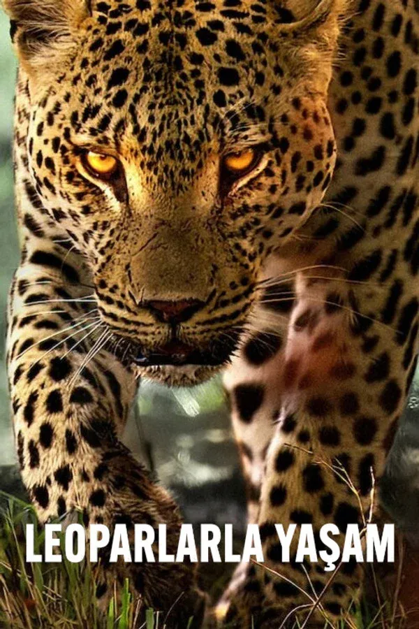 Leoparlarla Yasam (2024)