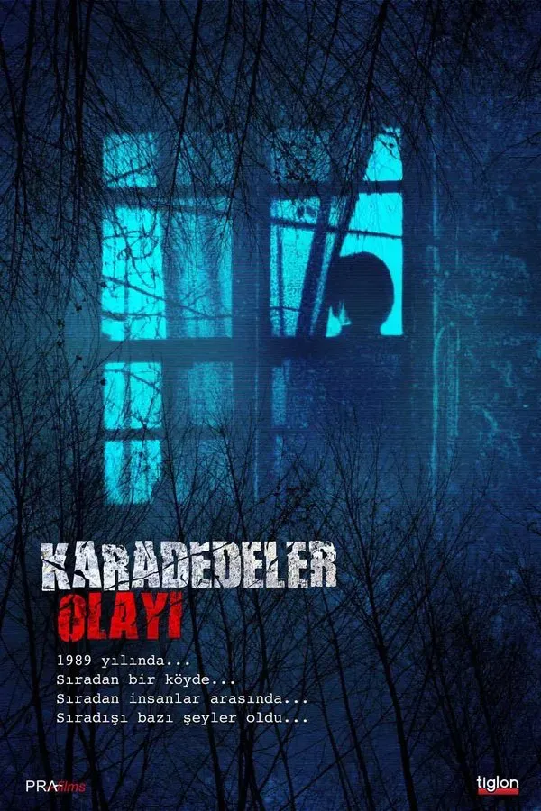 Karadedeler Olayı (2011)