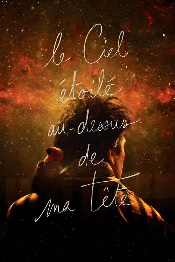 FR The Starry Sky Above Me