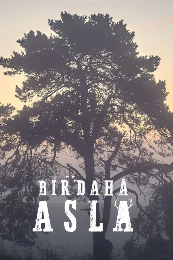 Bir.Daha.Asla