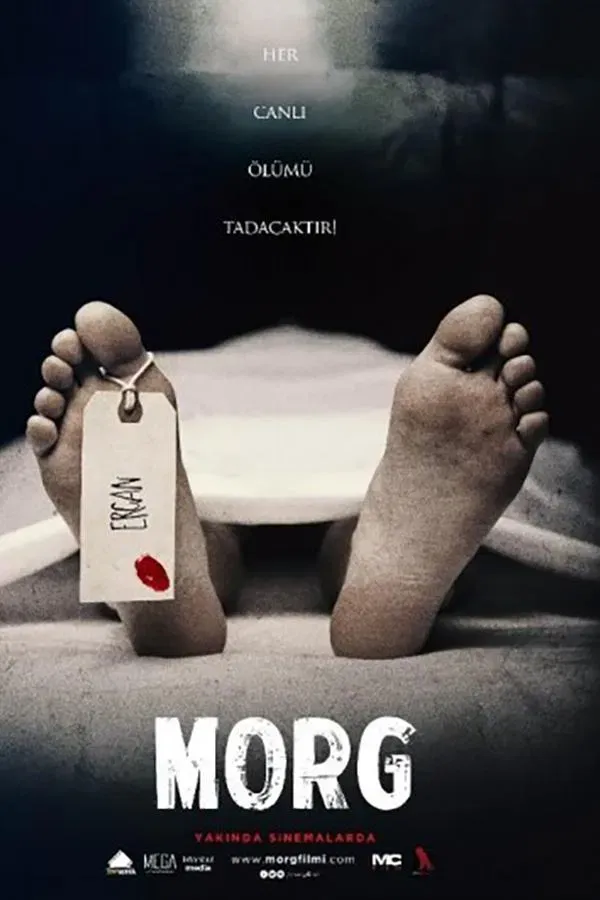 Morg (2017)