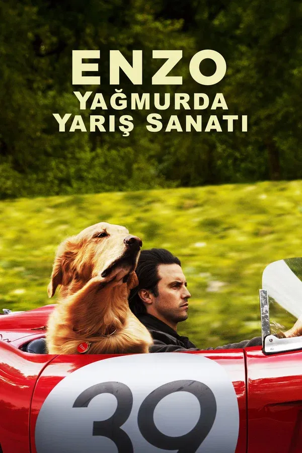Enzo: Yagmurda Yaris Sanati (2019)