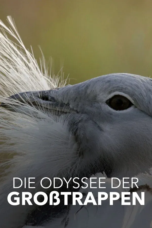 Die Odyssee | 2021