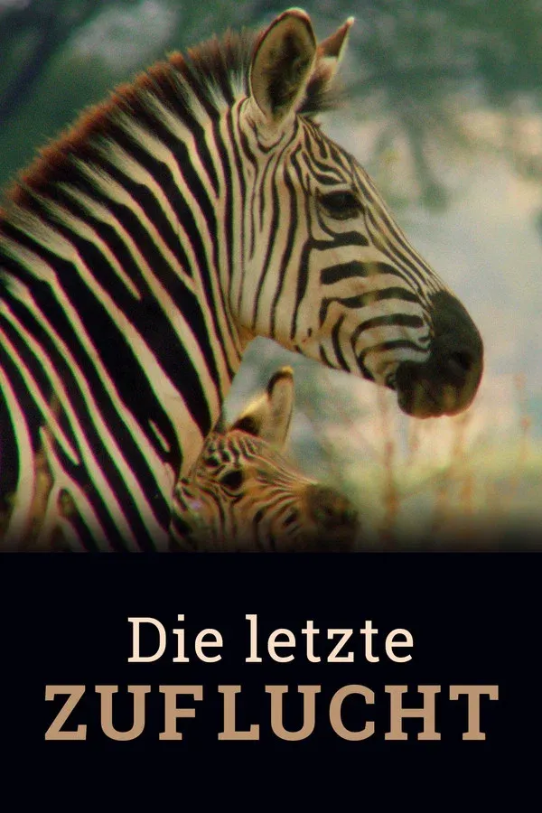 Die Zuflucht