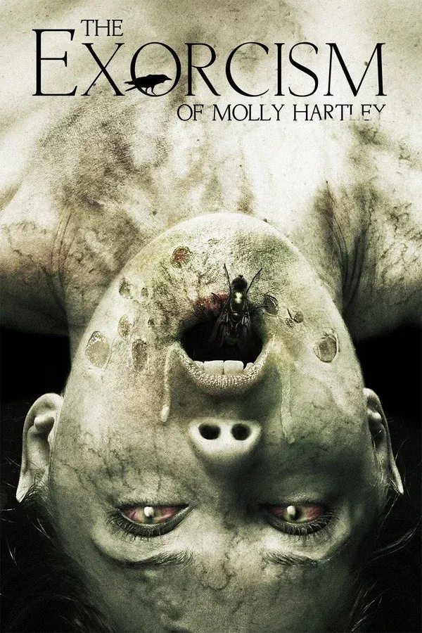 Molly Hartley'nin Laneti 2 (2015)
