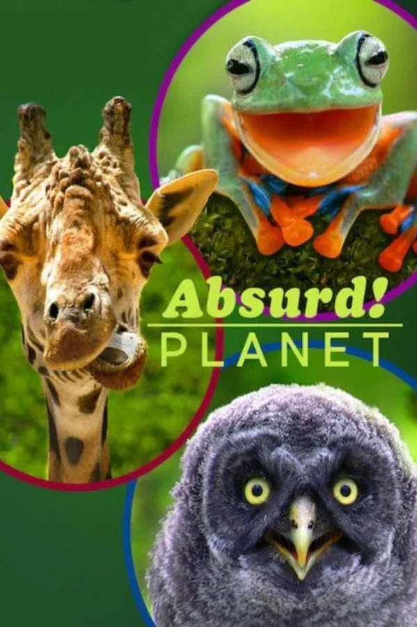 Absurd Planet (2020)