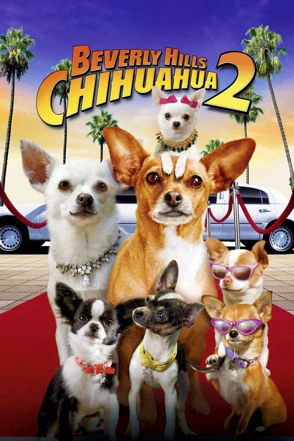 Beverly Hills Chihuahua 2 - 2011