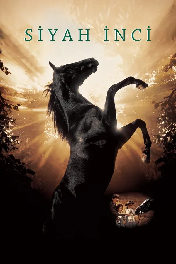 Black Beauty (2020)