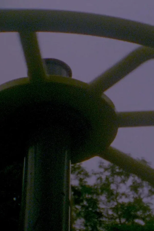 Phenomena (2023)