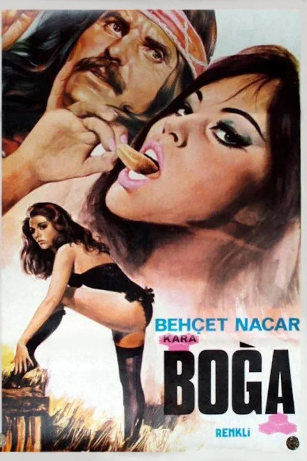 Kara Boğa (1974)