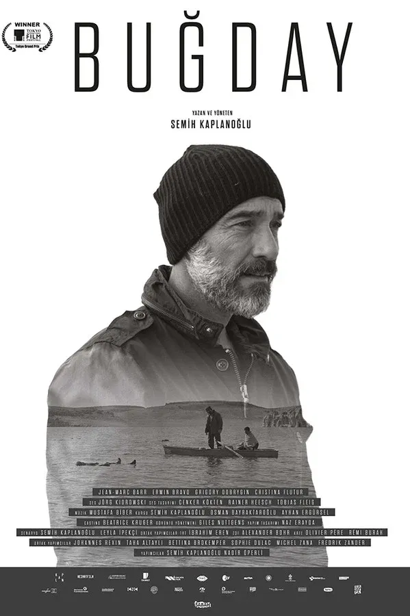 Buğday (2017)