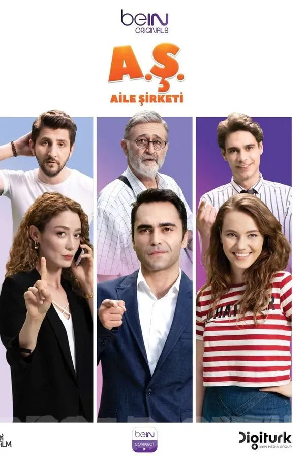 Aile Şirketi
