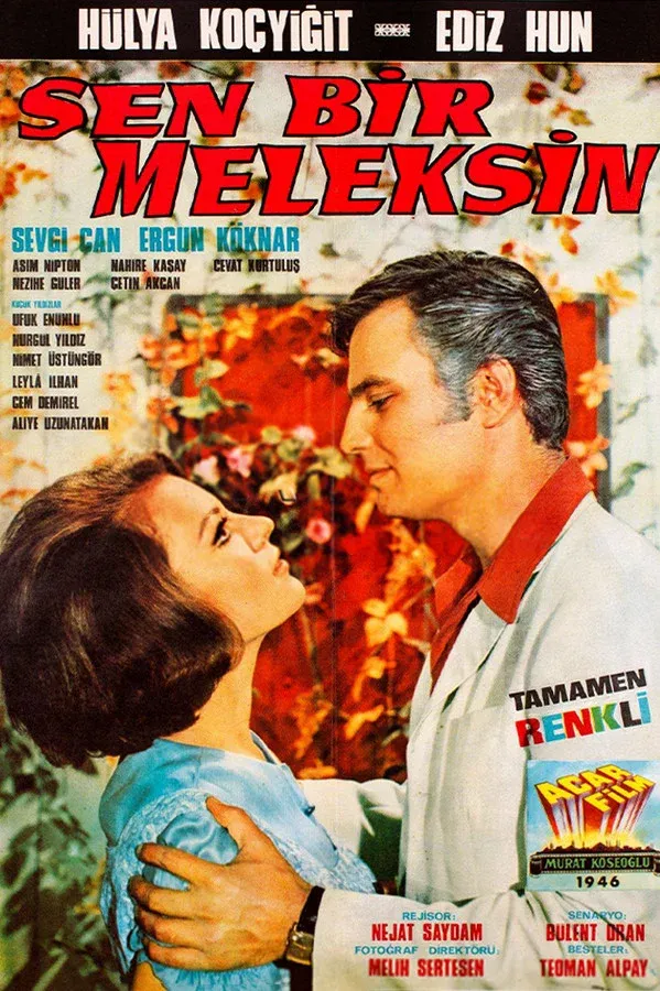 Sen Bir Meleksin (1969)