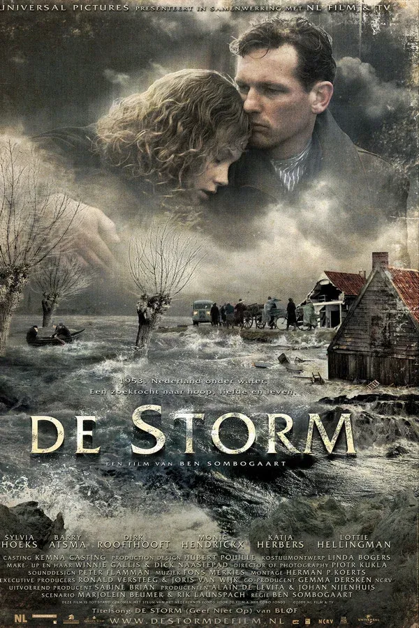 De storm (2009)