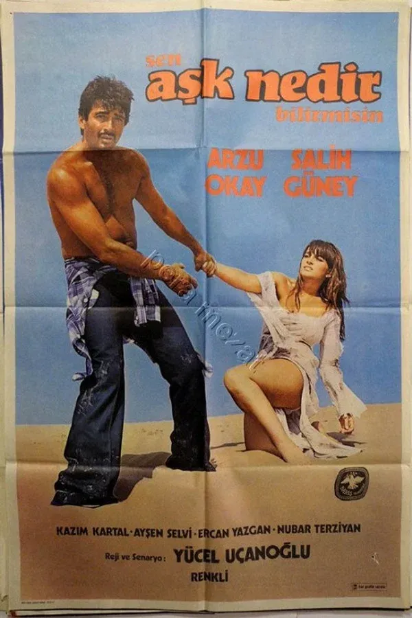 Sen Aşk Nedir Bilir Misin (1977)